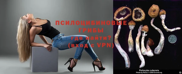 мяу мяу мука Беломорск