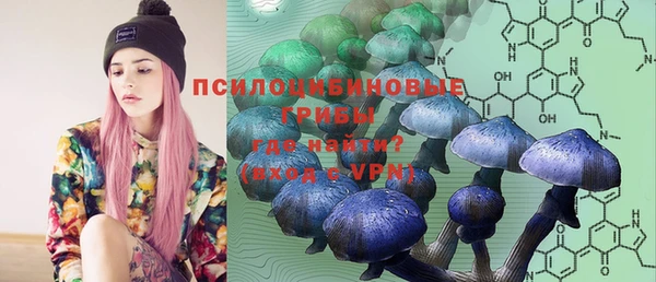 таблы Белокуриха